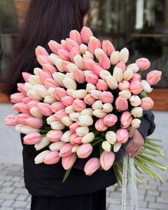 Лола Тюльпан оптом