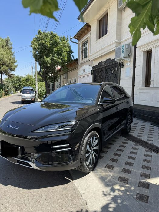 Byd chempion 605