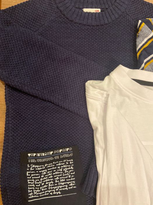 Ser pluover, bluză polo, maieu Coccodrillo+bluză Zara băieți 10-11 ani