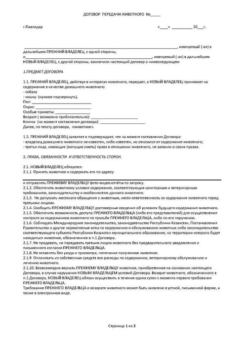 Котёнок девочка возраст 3 месяца ищет дом