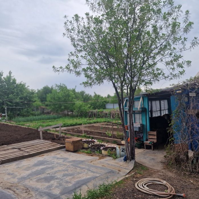 Продам дачу в городе