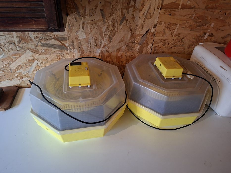 De vânzare 2 incubatoare cleo5