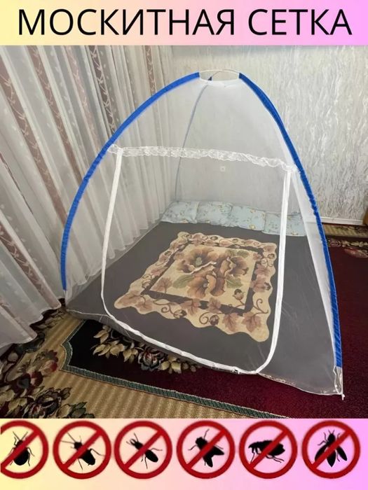 Pashshaxona dumoloq kurinishdagi pashshaxona