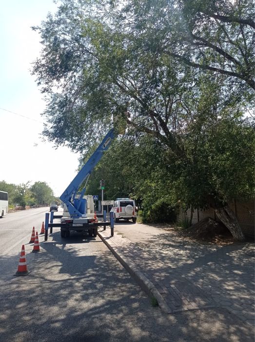 Спил Деревьев,подрезка веток