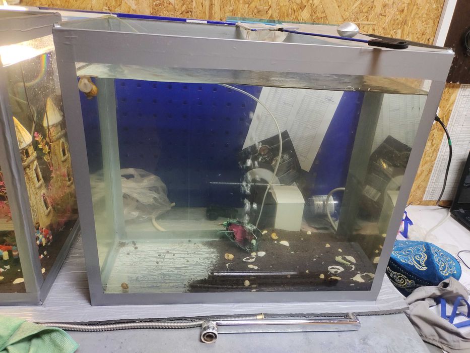 Аквариум с рыбками