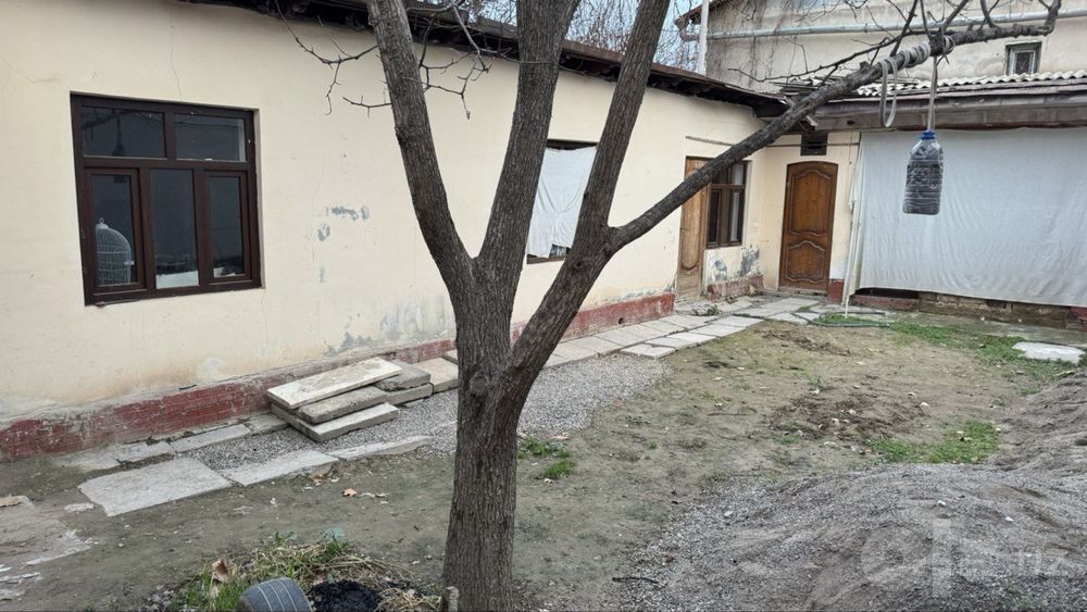 Salom Choyxonadan Otganda Yol Yuzida 3 Sotu Xovli