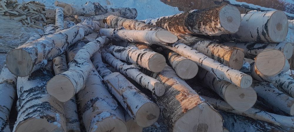 Колотые дрова осина