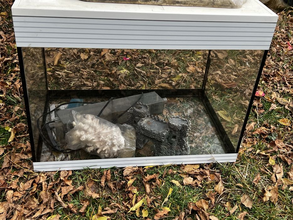 Acvariu pesti/broaste testoase