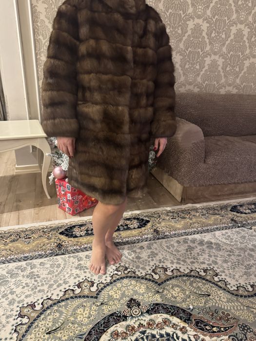 Продам дикий соболь