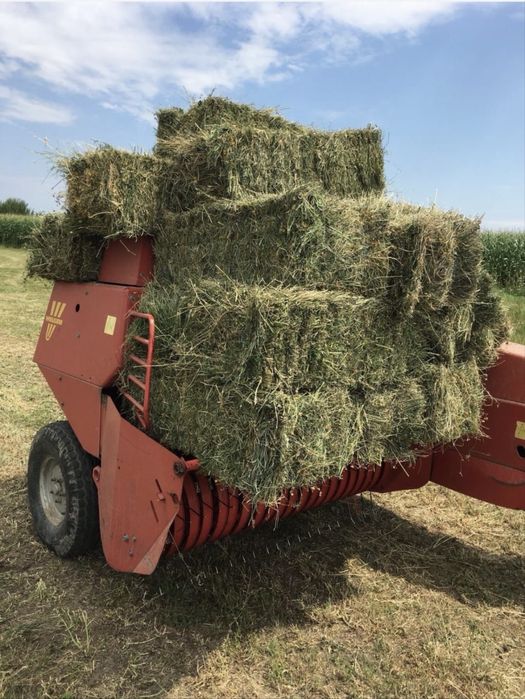 Vand Baloti fan 2025