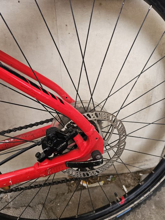 Планински велосипед  Axess 29/L