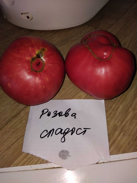Продавам семена за домати