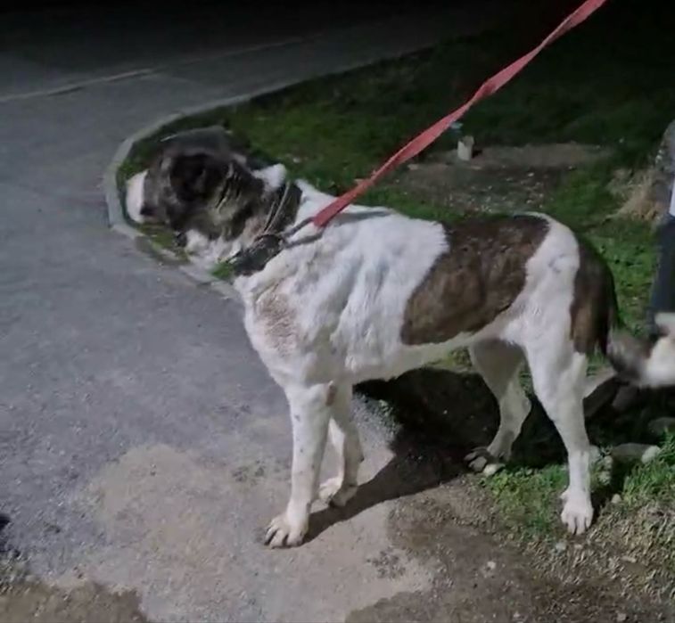 Ургашы сатылады