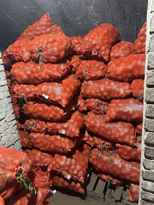 Картофель домашний