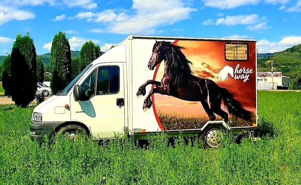 Transport animale vii