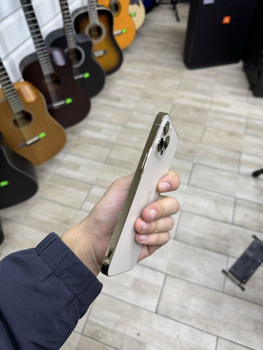 iPhone 12 Pro Max 256