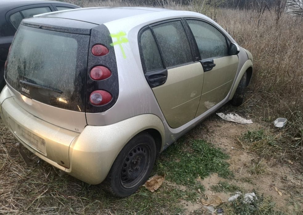 Ușa capota smart forfour