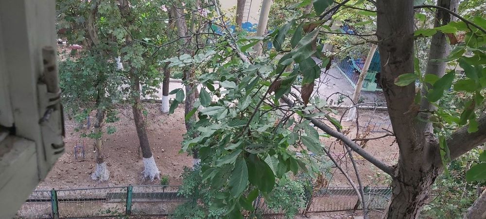 Какрасу 1          3/5/5