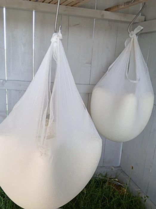 Vând caș proaspăt de oaie cu cheag natural de miel