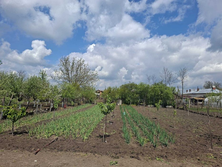 Casă la țară cu teren 1.271 mp și livadă – acte în regulă