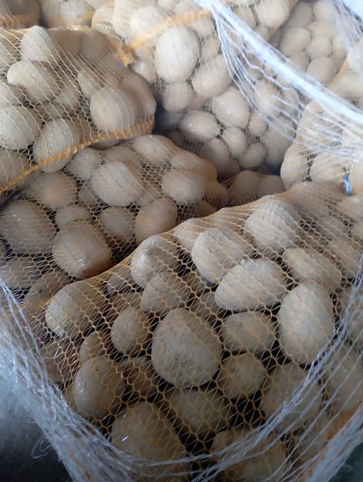 Cartofi de vânzare .Clasa 1