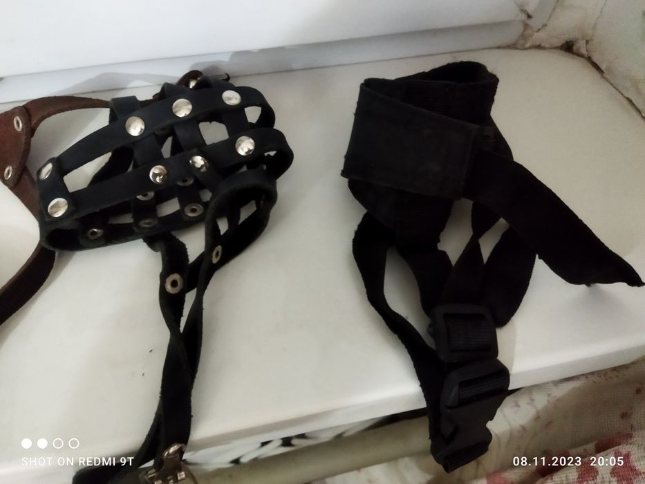 Шлейка+ намордники