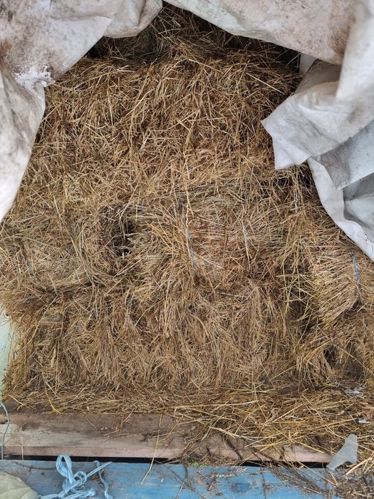 Vând baloți dreptunghiulari de Fân,Otavă și Amestec