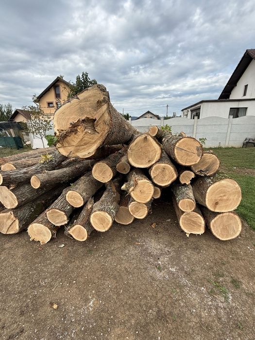 Lemn de foc Simeria 350 adus acasă