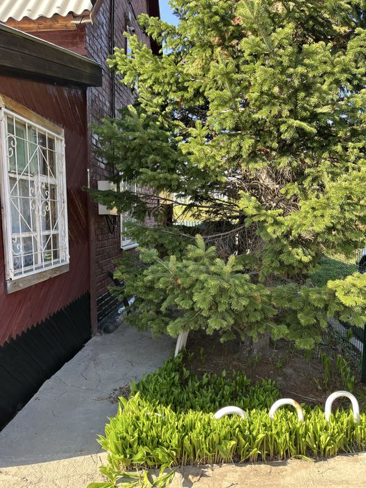 Продам дачу в районе Ахмирово