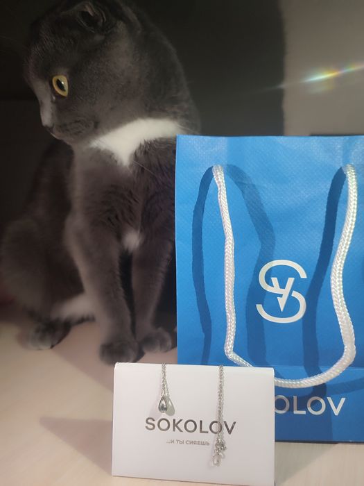 Кошечка для вязки случки