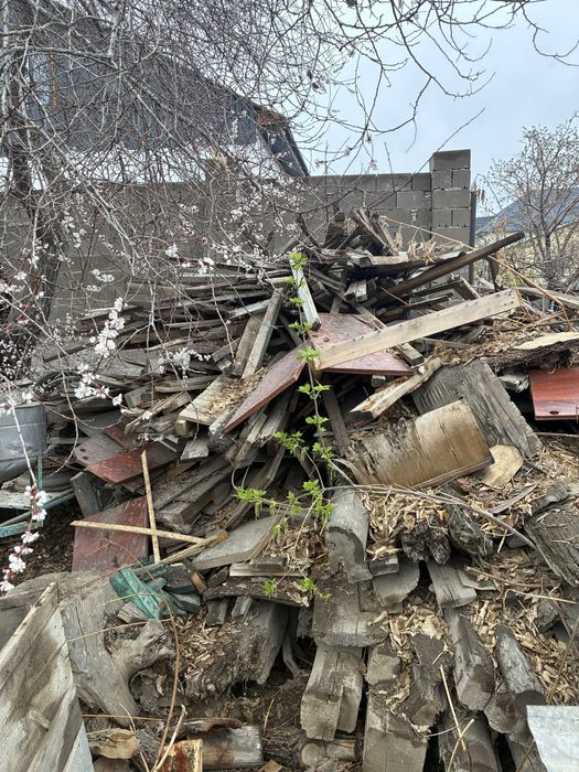 Дрова отдам бесплатно