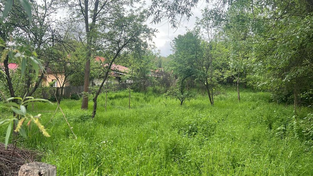 Curat terenuri, defrisez, cosesc/tund iarba judet Timis