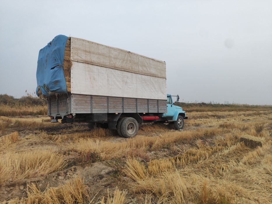 Gaz 3309 sotiladi chiochna