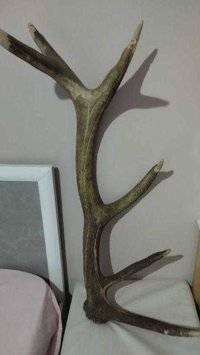 Декор, украса, сувенир