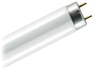 Лампа ЛД58W 765р