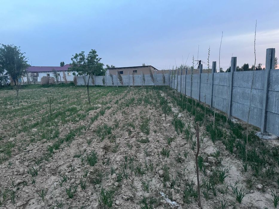 Срочни. Янгийулда ер участкаси сотилади.