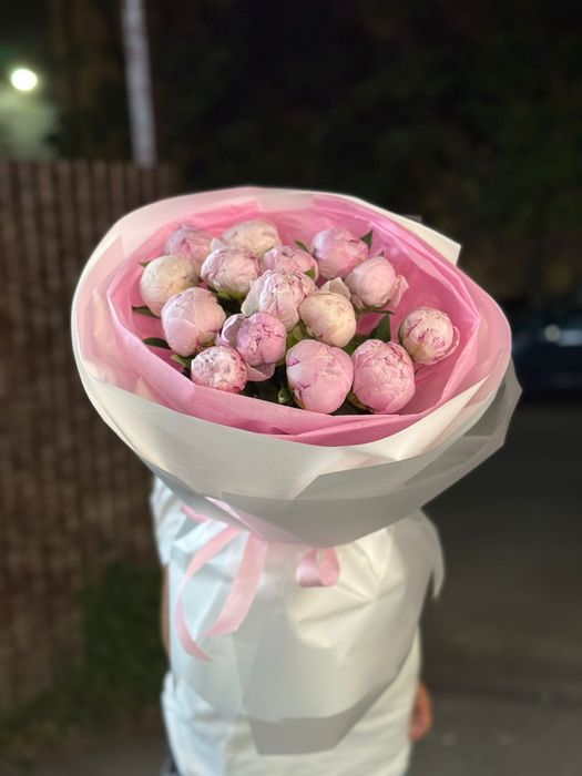 Пионы, голландские