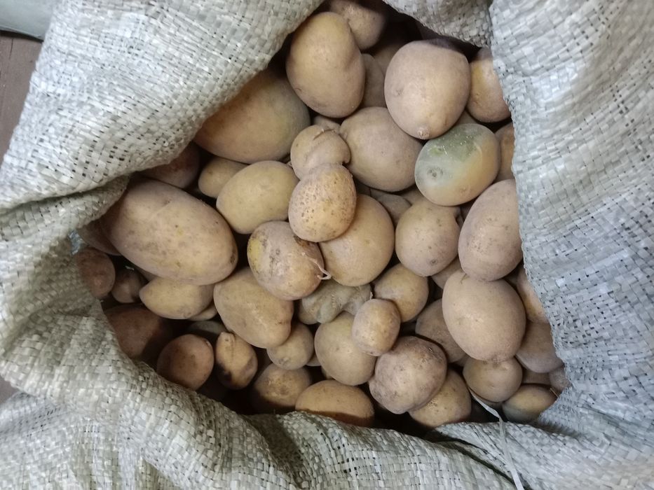 Продам картофель домашний (мелкий)