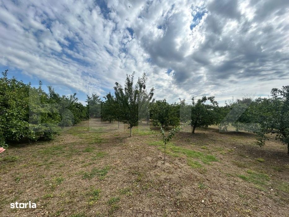 Teren | Crangurile De Jos | 6796 Mp | Intravilan |