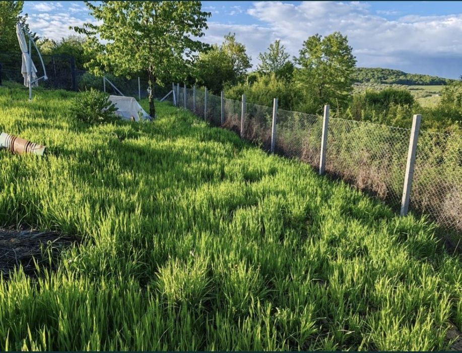 Teren extravilan 10 arii (1000 mp) Bistrita , Dealul Targului