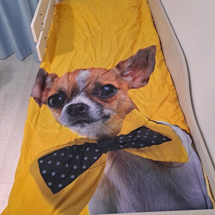 Шалтета за единично легло