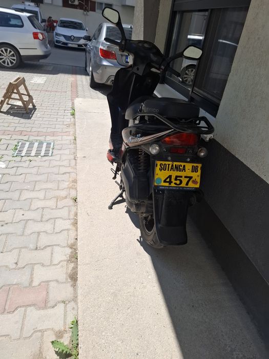 Vand  sciter 49 cu permis