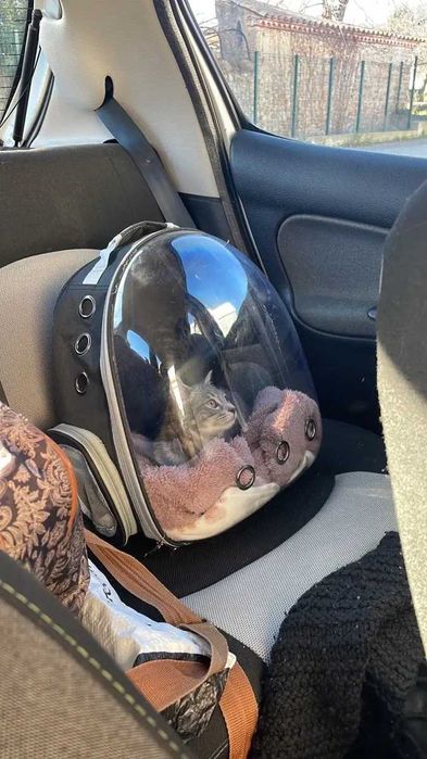 Раница за пренасяне и транспорт на домашни любимци, котки или кучета