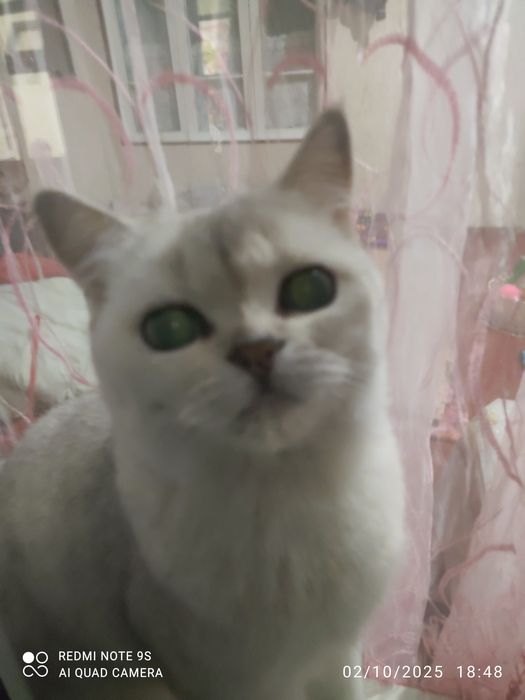 80 yoshli rus ayol bilan porno