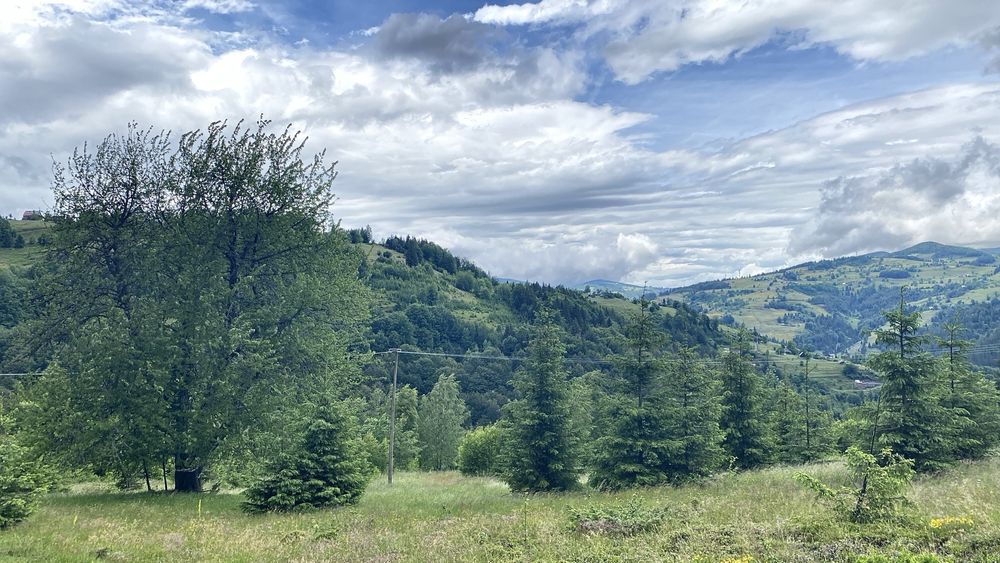 Vând teren extravilan 30.000 mp (3 ha)- Gârda de Sus, Alba