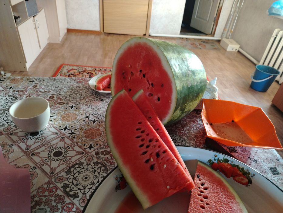 Арбузы Лебяжьевские