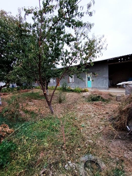 Hovli sotiladi 5 sotix Срочно Продаётся участок