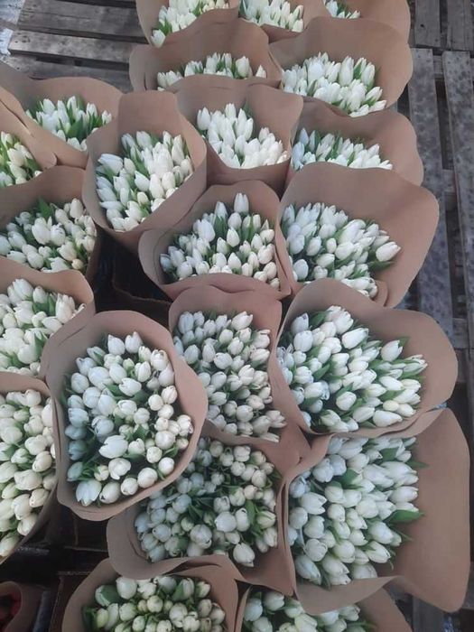 Цветы оптом розы