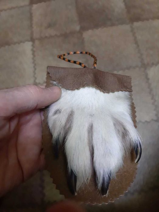 Лапа волка амулет оберег талисман.