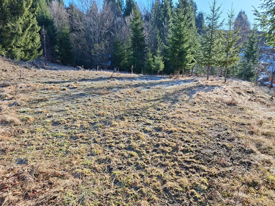 Teren  cu IESIRE LA LAC Colibita 10 -15 arii .